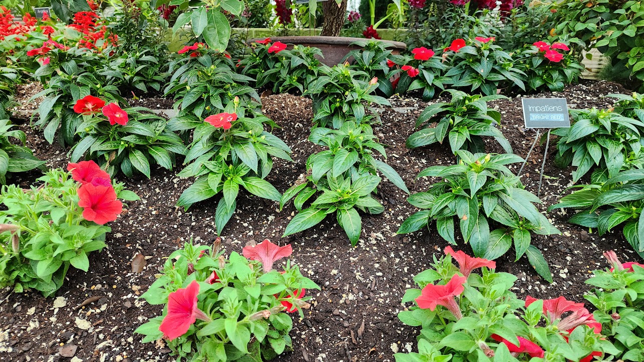 Groundcover APM
