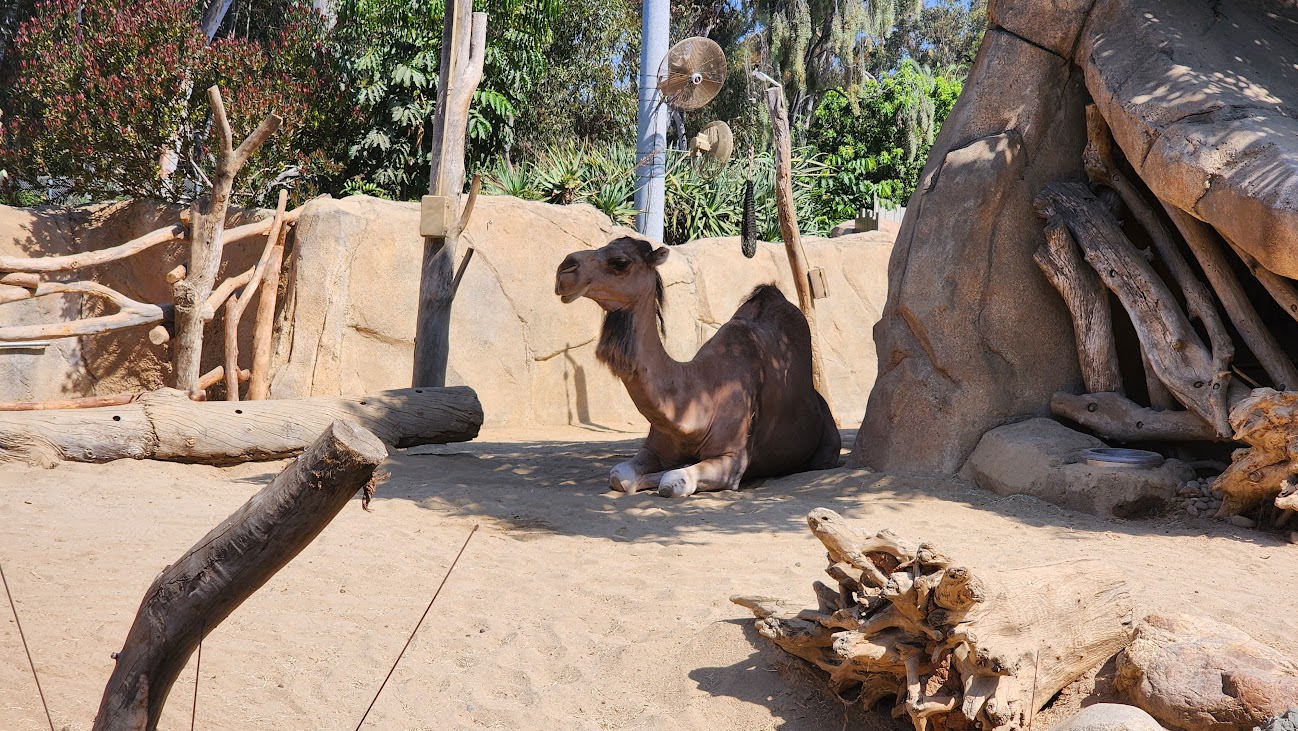 Perl MCP Server with Google Worksheets